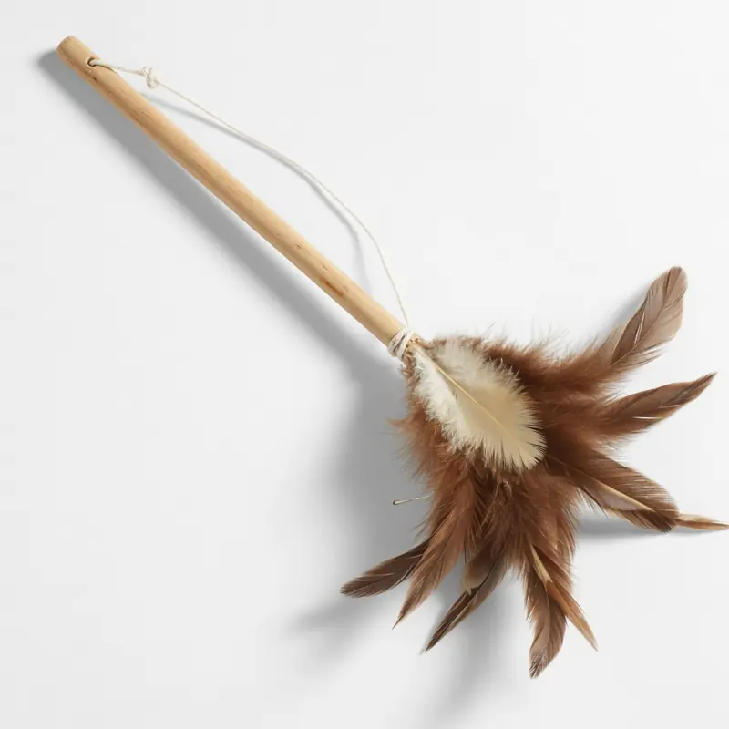 Feather Wand Teaser