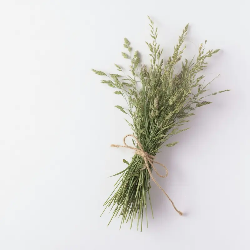 Dried Meadow Grass Bundle